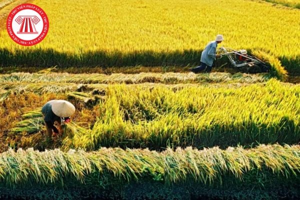 Đối tượng chịu thuế sử dụng đất nông nghiệp năm 2025 gồm những ai?