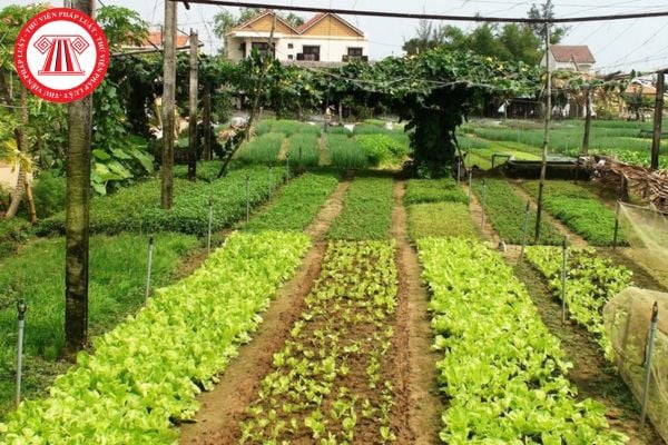 Pháp Luật Nhà Đất