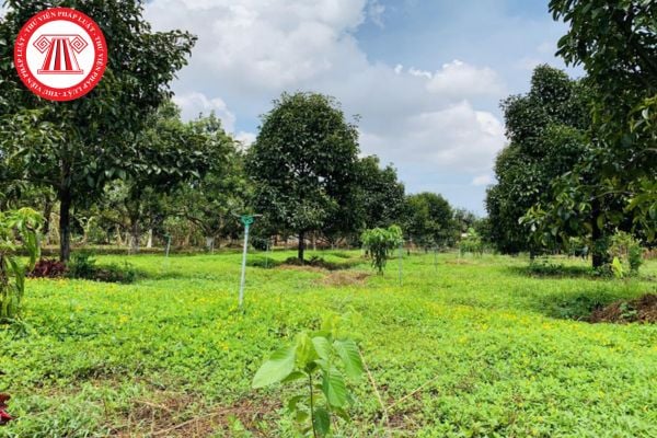 Pháp Luật Nhà Đất