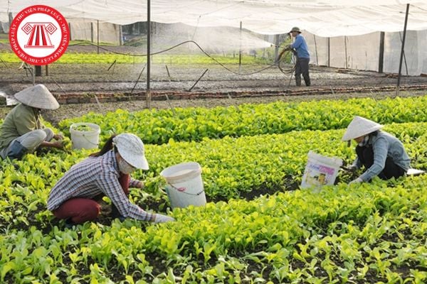 Hỏi đáp Pháp luật