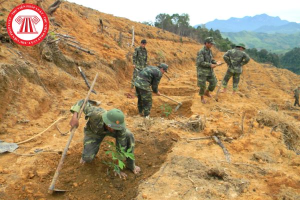 Pháp Luật Nhà Đất