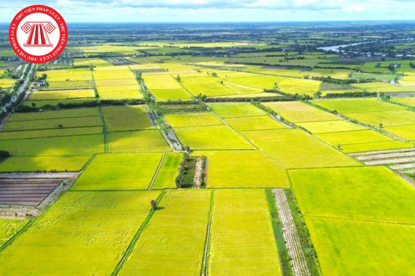 Căn cứ để lập sổ thuế sử dụng đất nông nghiệp theo quy định mới nhất 2025?
