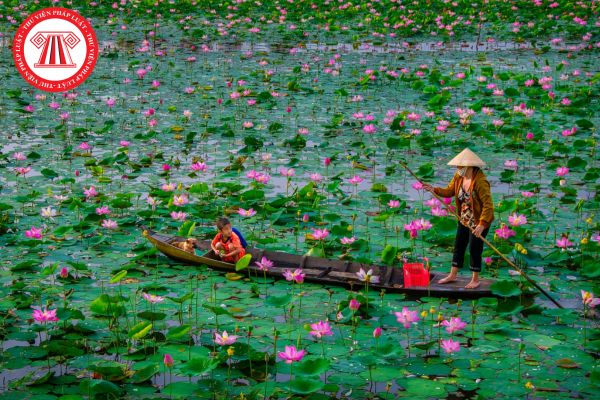 Hỏi đáp Pháp luật