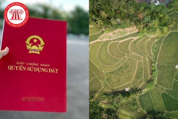 Hỏi đáp Pháp luật