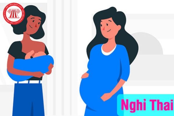 Hỏi đáp Pháp luật