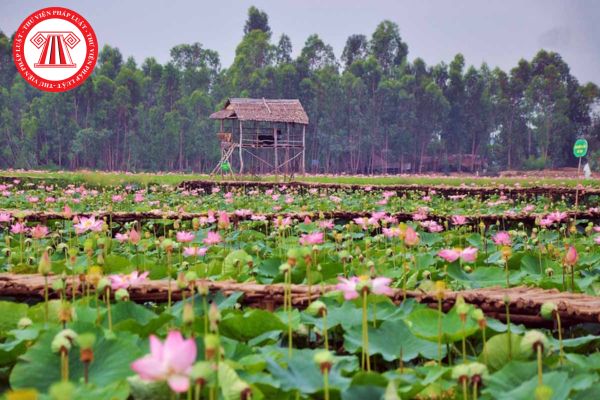 Hỏi đáp Pháp luật