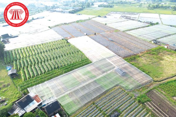 Pháp Luật Nhà Đất