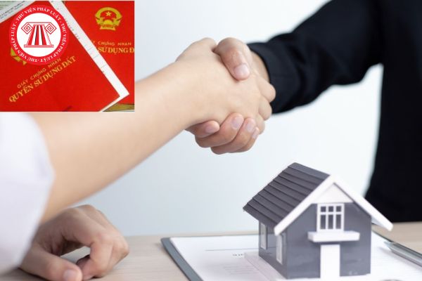 Hỏi đáp Pháp luật