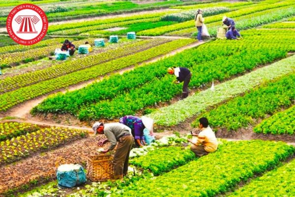 Hỏi đáp Pháp luật