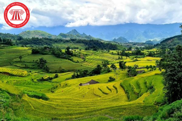 Pháp Luật Nhà Đất