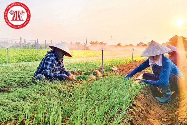 Pháp Luật Nhà Đất