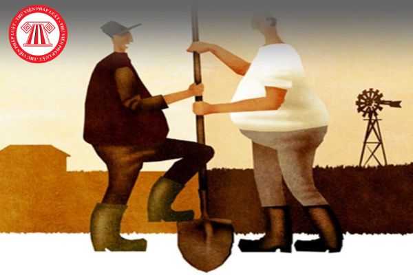 Hỏi đáp Pháp luật