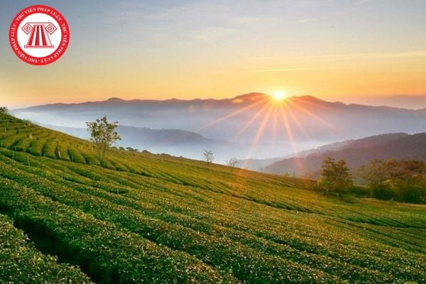 Pháp Luật Nhà Đất