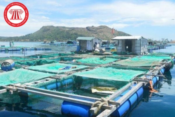 Pháp Luật Nhà Đất