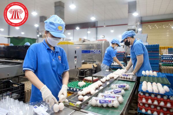 Hỏi đáp Pháp luật