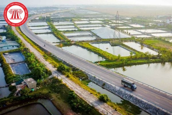 Pháp Luật Nhà Đất