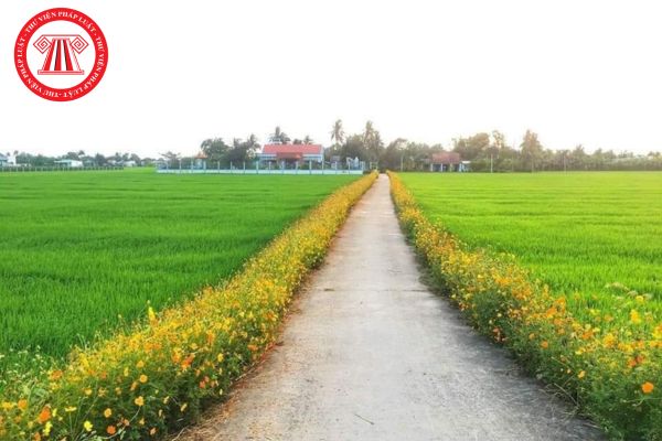 Pháp Luật Nhà Đất