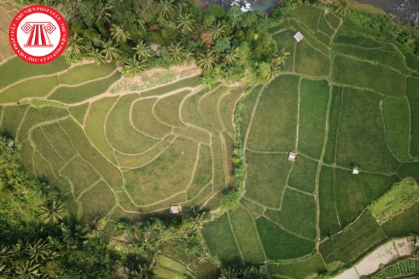 Pháp Luật Nhà Đất