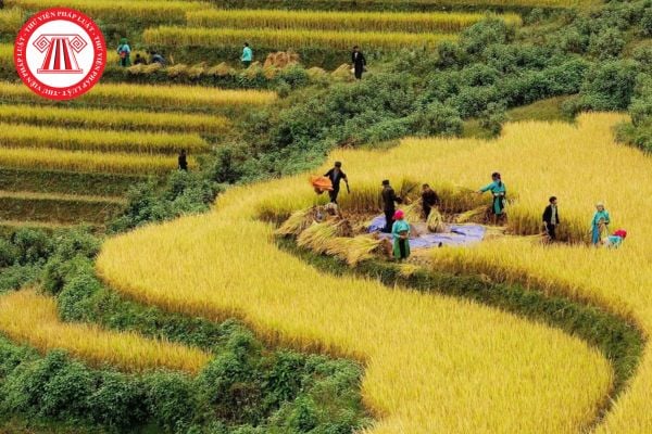Bảng giá đất được áp dụng cho các trường hợp nào theo Luật Đất đai 2024?
