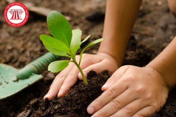 Danh sách đất sử dụng có thời hạn không quá 50 năm theo Luật mới nhất?