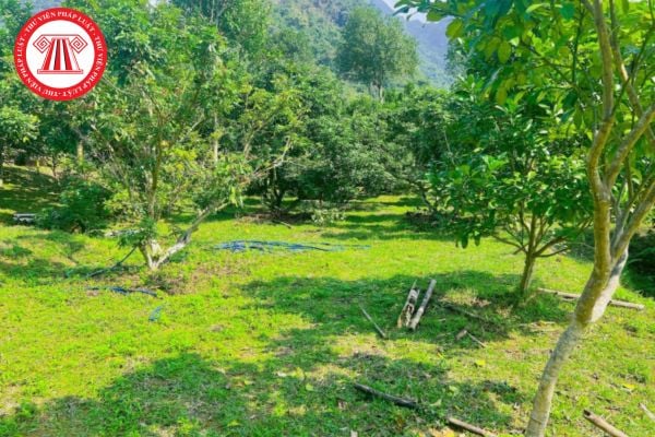 Pháp Luật Nhà Đất
