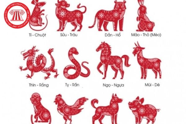 Hỏi đáp Pháp luật
