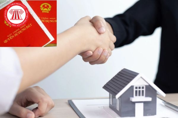 Hỏi đáp Pháp luật