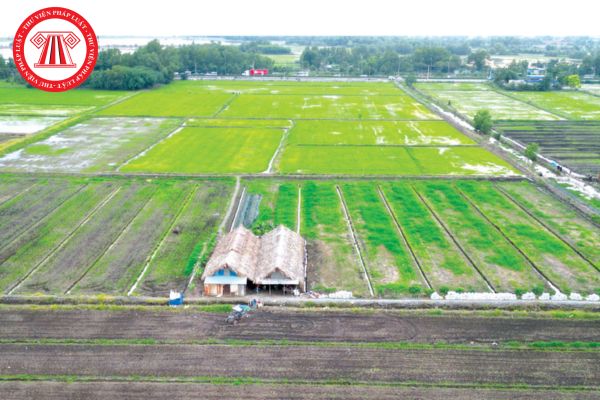 Hỏi đáp Pháp luật