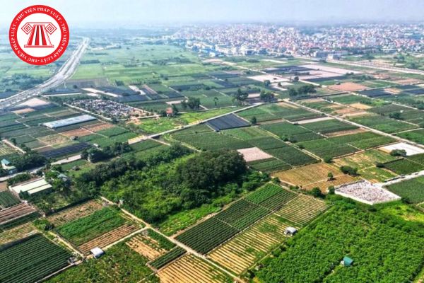 Pháp Luật Nhà Đất
