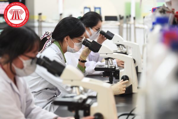 Hỏi đáp Pháp luật