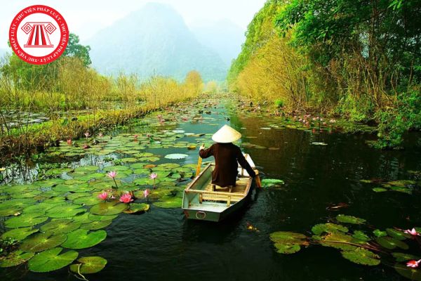 Hỏi đáp Pháp luật