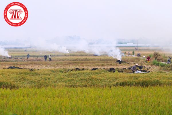 Pháp Luật Nhà Đất
