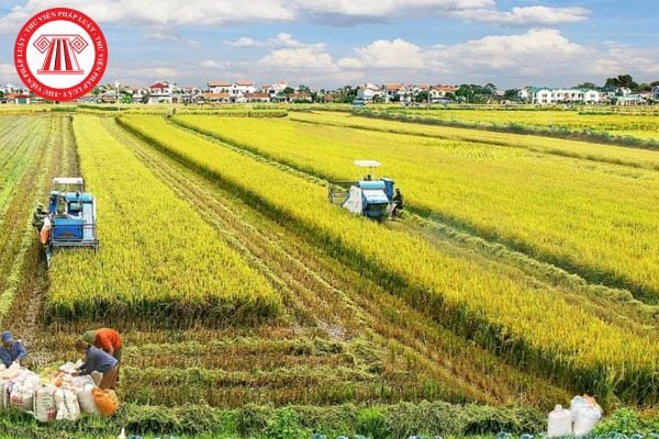 Hỏi đáp Pháp luật