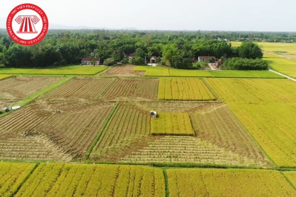Hợp đồng chuyển đổi quyền sử dụng đất là gì? Mẫu hợp đồng chuyển đổi quyền sử dụng đất mới nhất năm 2025?