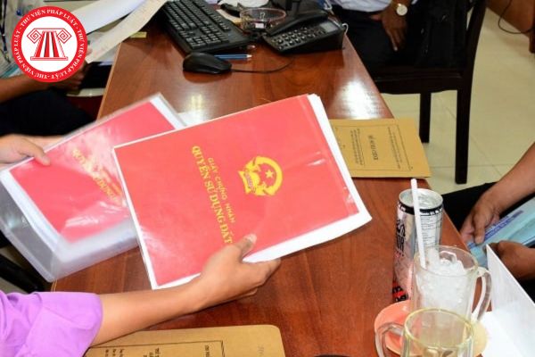 Hỏi đáp Pháp luật