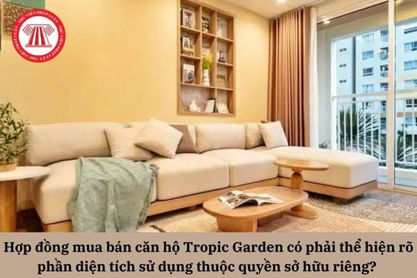 Pháp Luật Nhà Đất