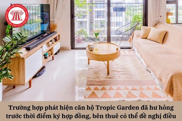 Pháp Luật Nhà Đất
