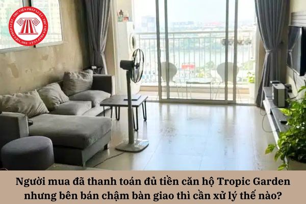 Pháp Luật Nhà Đất