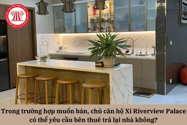 Pháp Luật Nhà Đất