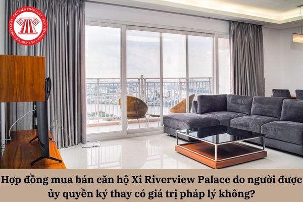 Pháp Luật Nhà Đất