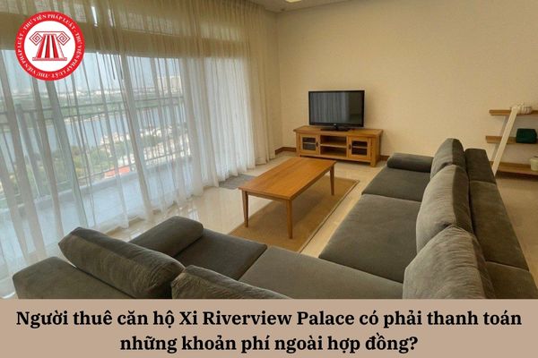 Pháp Luật Nhà Đất
