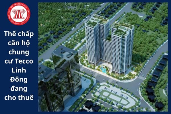 Pháp Luật Nhà Đất