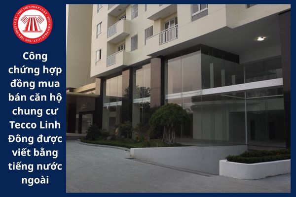 Pháp Luật Nhà Đất