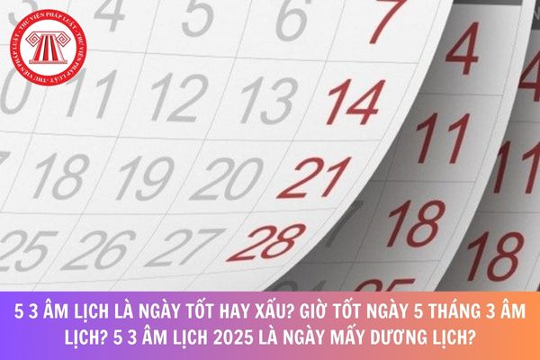 Hỏi đáp Pháp luật