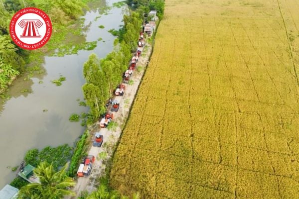 Trình tự, thủ tục nộp tiền để nhà nước bổ sung diện tích đất chuyên trồng lúa bị mất 2025?