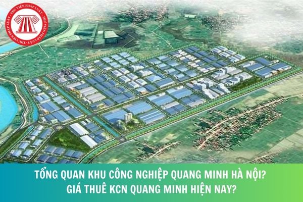 Hỏi đáp Pháp luật