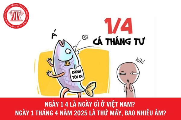 Hỏi đáp Pháp luật