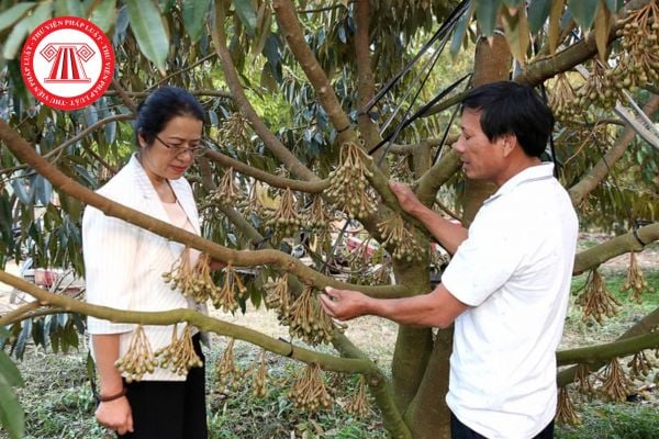 Hỏi đáp Pháp luật