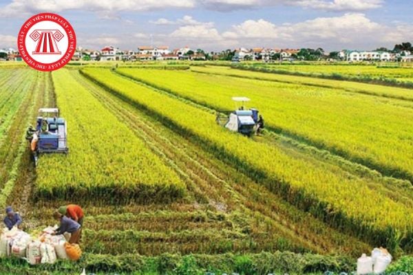 Chuyển đổi đất nông nghiệp được miễn thuế và lệ phí trong trường hợp nào theo quy định mới nhất? 