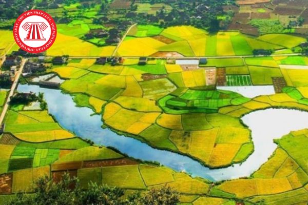 Đất được Nhà nước giao quản lý mà để bị lấn chiếm đất có bị thu hồi không? 